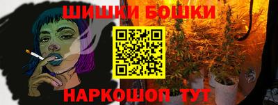соль ск Славгород
